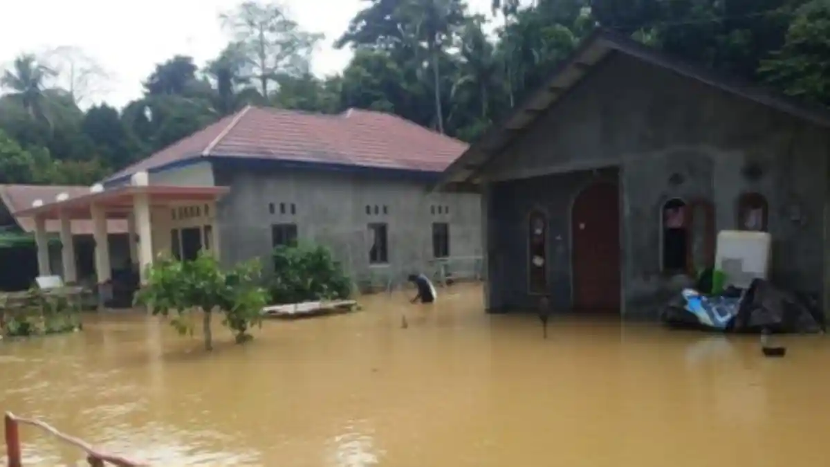Banjir Rendam 3 Kecamatan dan 5 Desa di Barito Timur